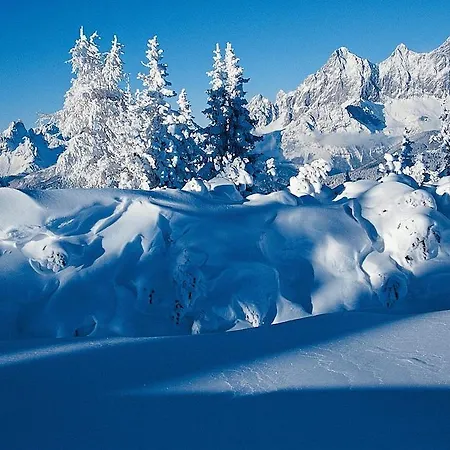 Vorstadtstub'n שלאדמינג