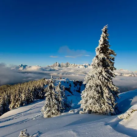 דירה Vorstadtstub'n