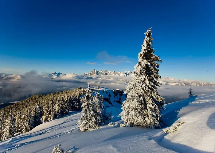 Apartment Vorstadtstub'n